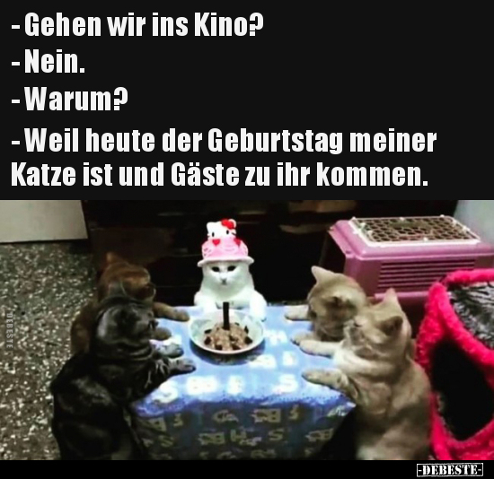 Gehen Wir Ins Kino? - Nein. - Warum? - Weil Heute Der Geburtstag Meiner Katze.. - Debeste.de 534_x_550_jpg