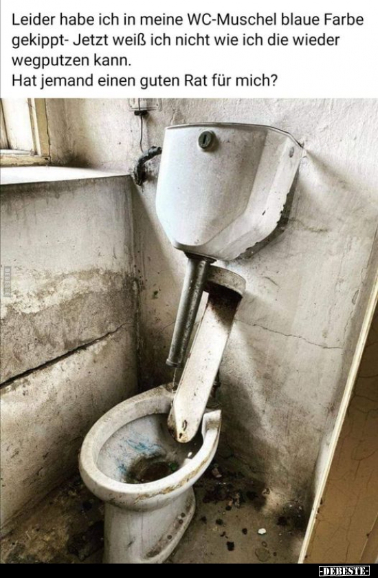 Lustige Wc Bilder Zum Ausdrucken Dame / 113 Toilette Kostenlose Clipart