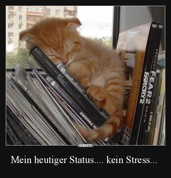Stress DEBESTE.de, Lustige Bilder, lustig foto