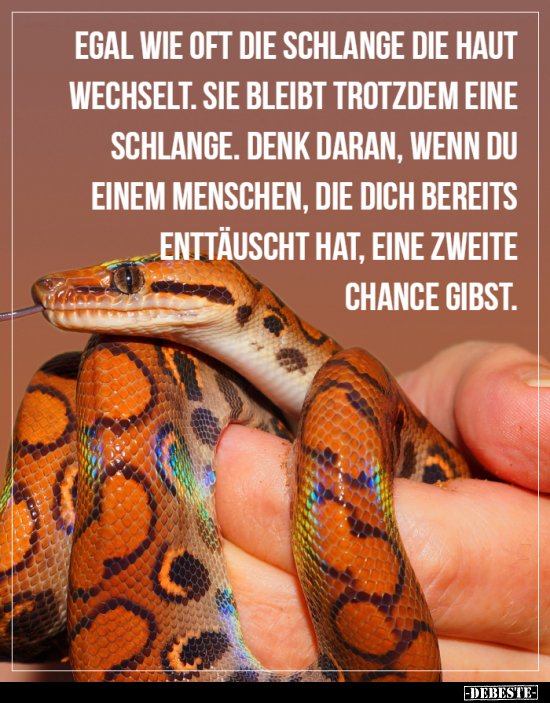 Egal wie oft die Schlange die Haut wechselt... Lustige Bilder