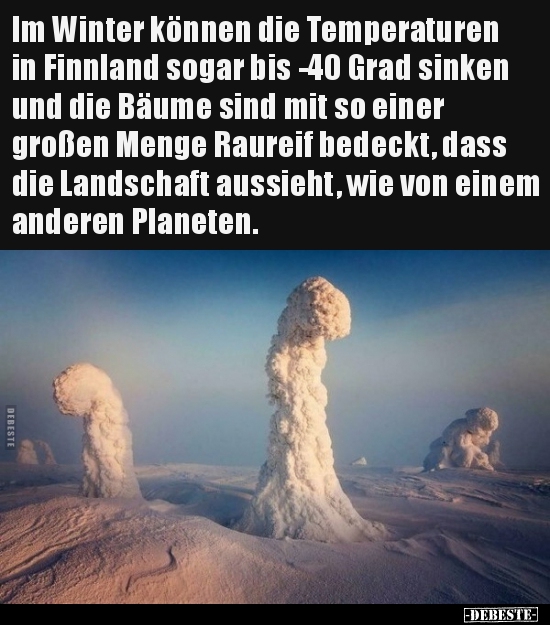 Im Winter Können Die Temperaturen In Finnland Sogar Bis -40.. | Lustige Bilder, Sprüche, Witze, Echt Lustig 625_x_550_jpg