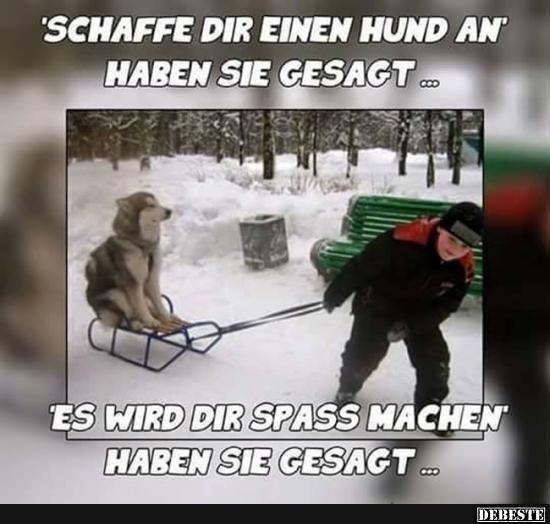 Lustige Hunde Bilder Mit Sprüchen