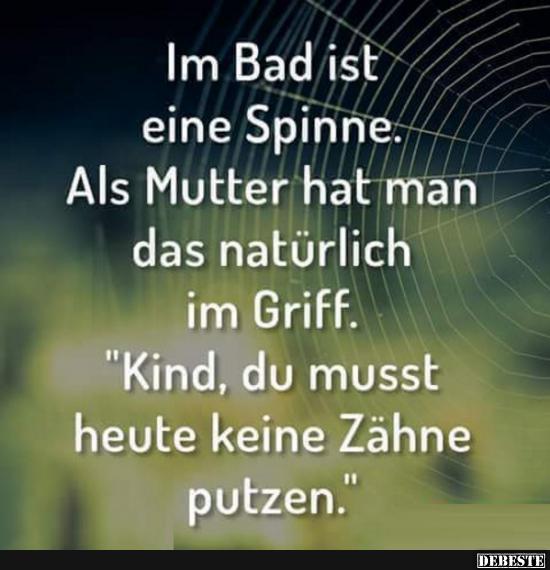 Im Bad Ist Eine Spinne.. | Lustige Bilder, Sprüche, Witze, Echt Lustig 570_x_550_jpg