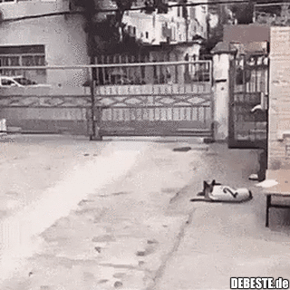 20 Lustige Gifs Von Arbeit In 2021 Lustig Memes Debeste