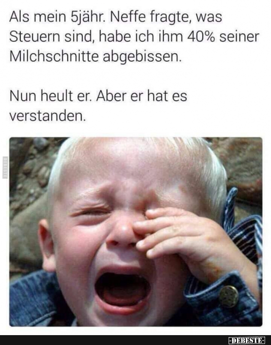 Als mein 5jähr. Neffe fragte, was Steuern sind.. Lustige Bilder