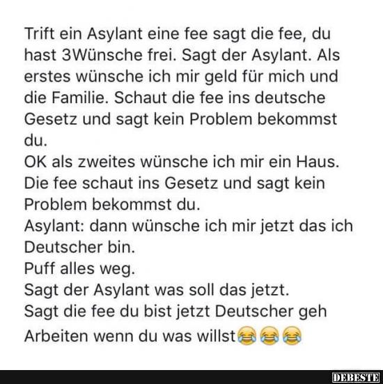 Trift ein Asylant eine fee sagt die fee.. Lustige Bilder, Sprüche