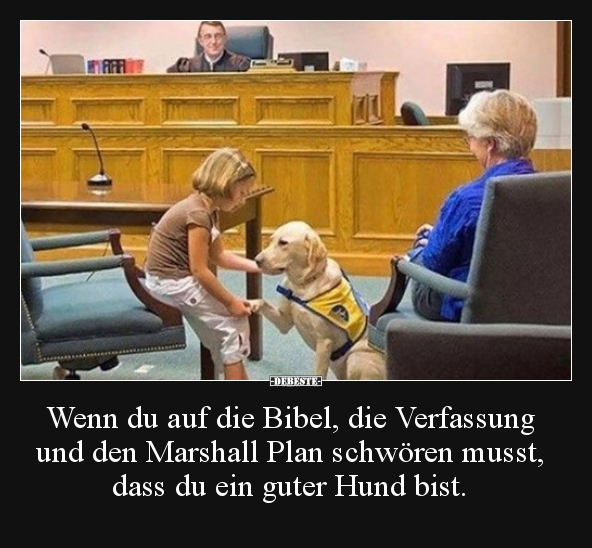 Wenn Du Auf Die Bibel, Die Verfassung Und Den Marshall.. | Lustige Bilder, Sprüche, Witze, Echt Lustig 548_x_592_jpg
