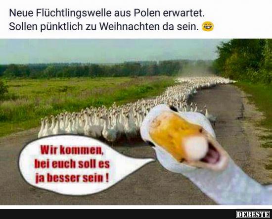 Neue Flüchtlingswelle aus Polen erwartet.. Lustige Bilder, Sprüche