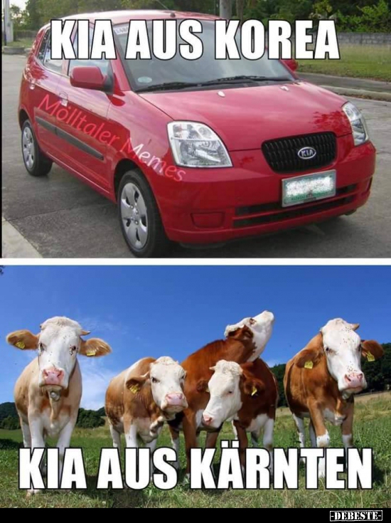 Kia aus Korea / Kia aus Kärnten. Lustige Bilder, Sprüche, Witze, echt