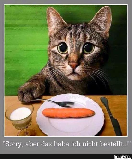 Sorry, aber das habe ich nicht bestellt..! Lustige Bilder, Sprüche