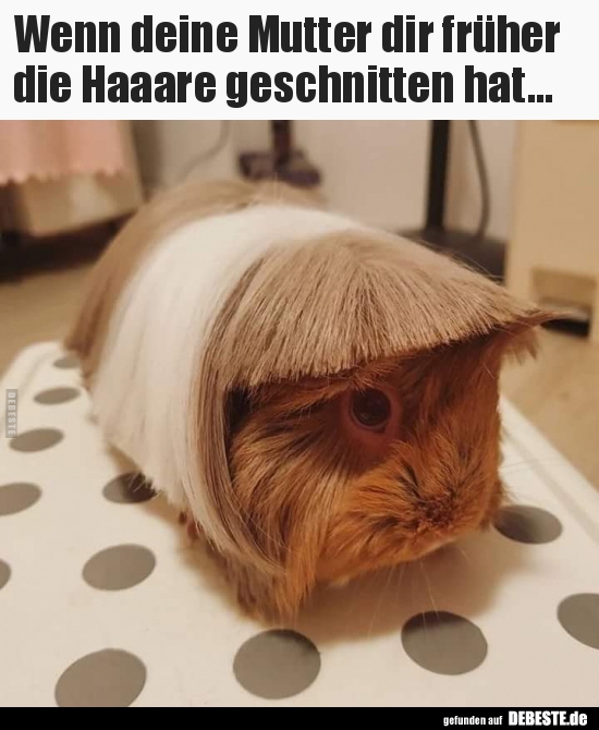 Wenn deine Mutter dir früher die Haaare geschnitten.. Lustige Bilder, Sprüche, Witze, echt lustig