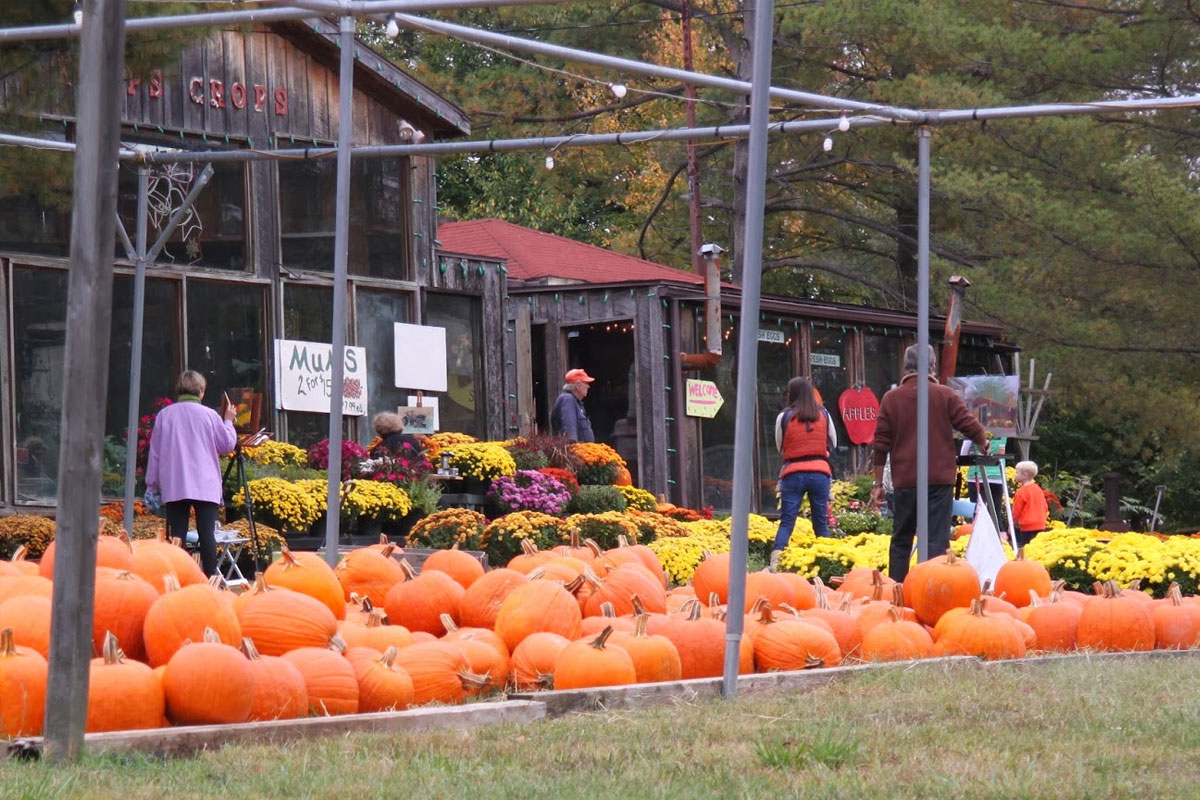 Great Falls VA Real Estate & Local Information Deb Frank presents