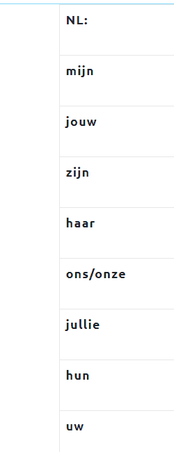 Bezittelijk Voornaamwoord - Bijles Duits Vwo