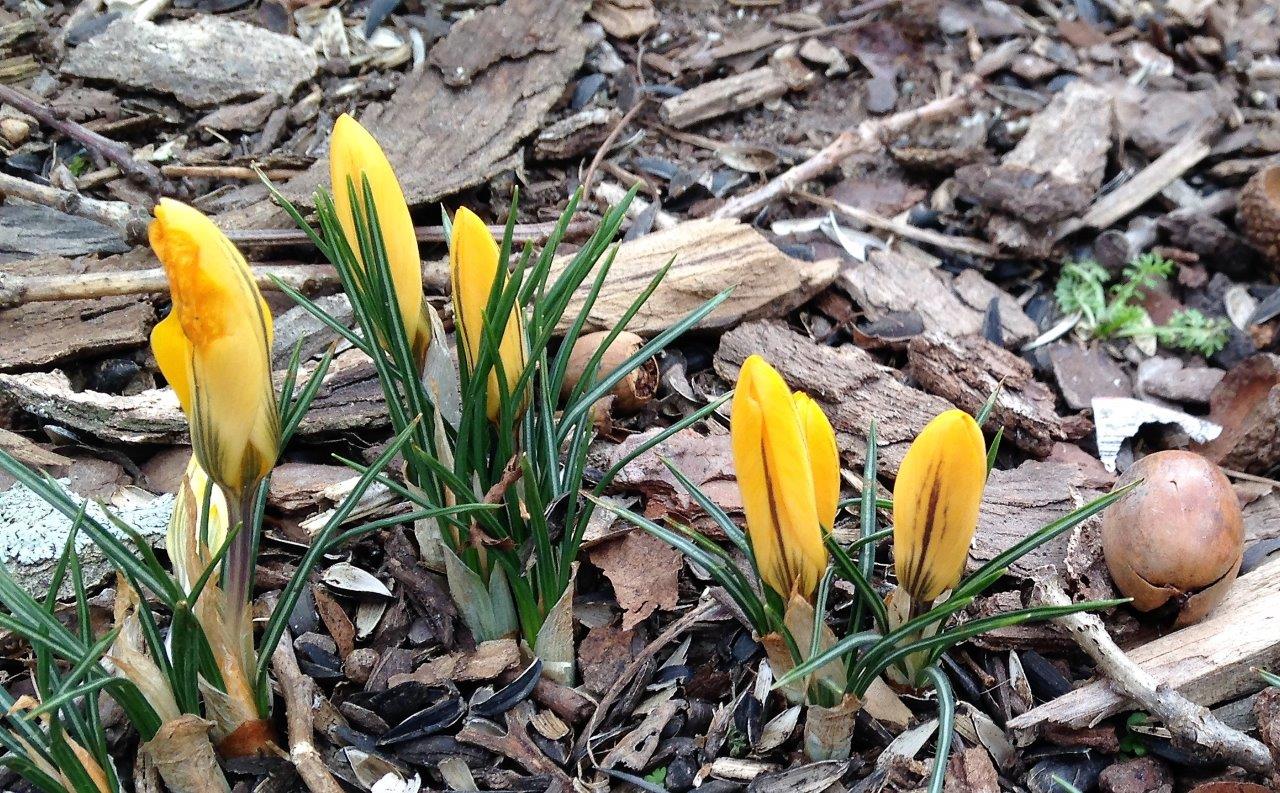 5 Friday Faves NoPressure Valentine’s Day, Travel Hacks, Prayer