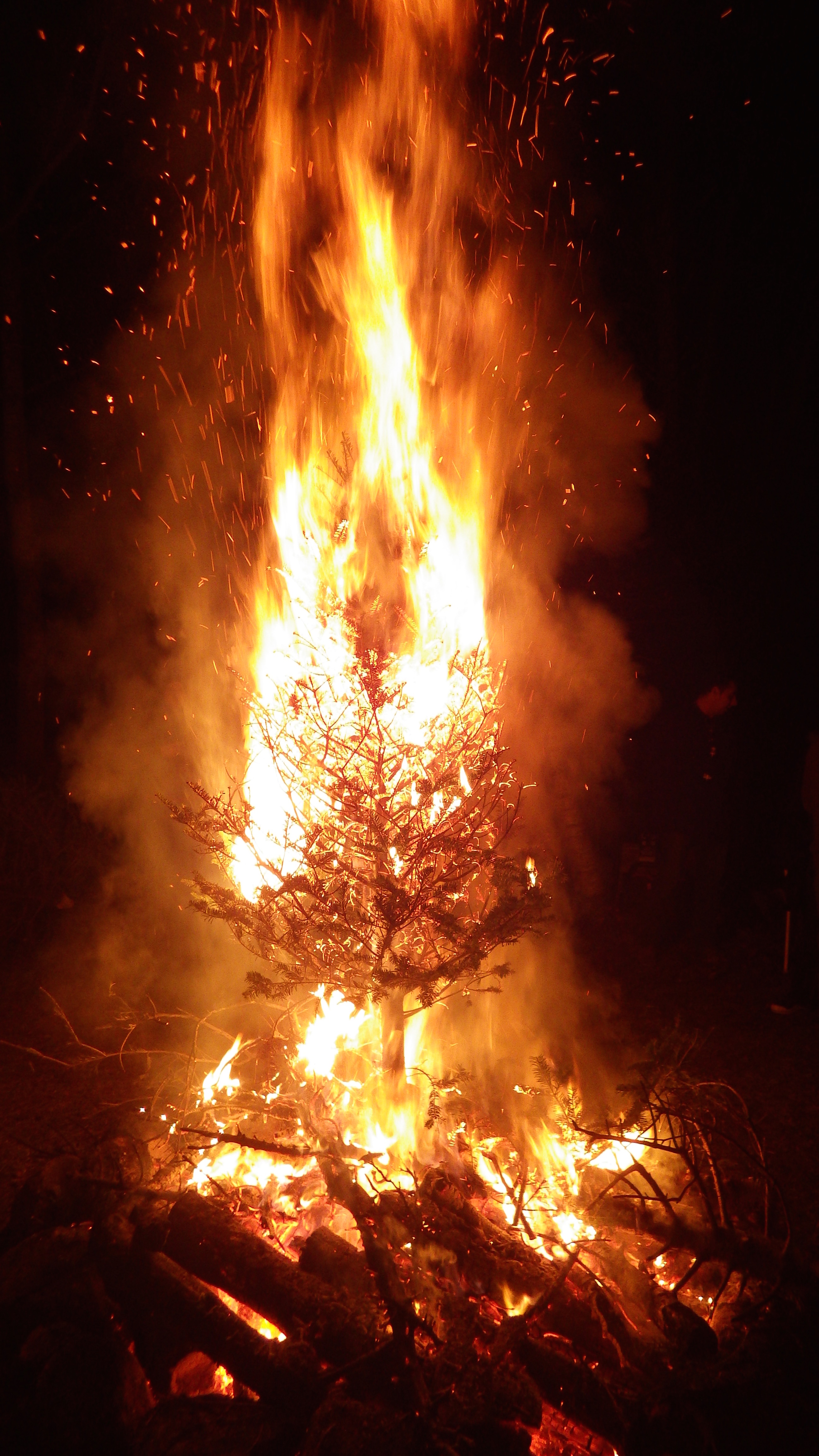 The Burning Tree Festival Deborah Dishes