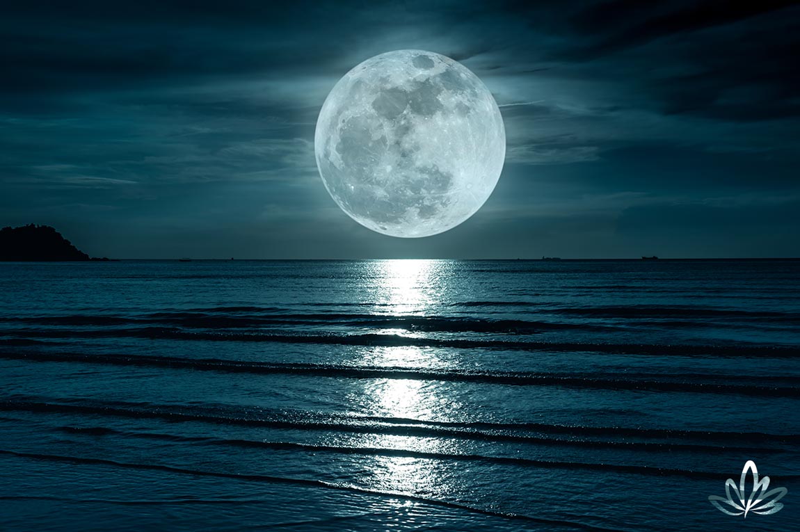 Cold Moon and Reflection Deborah King