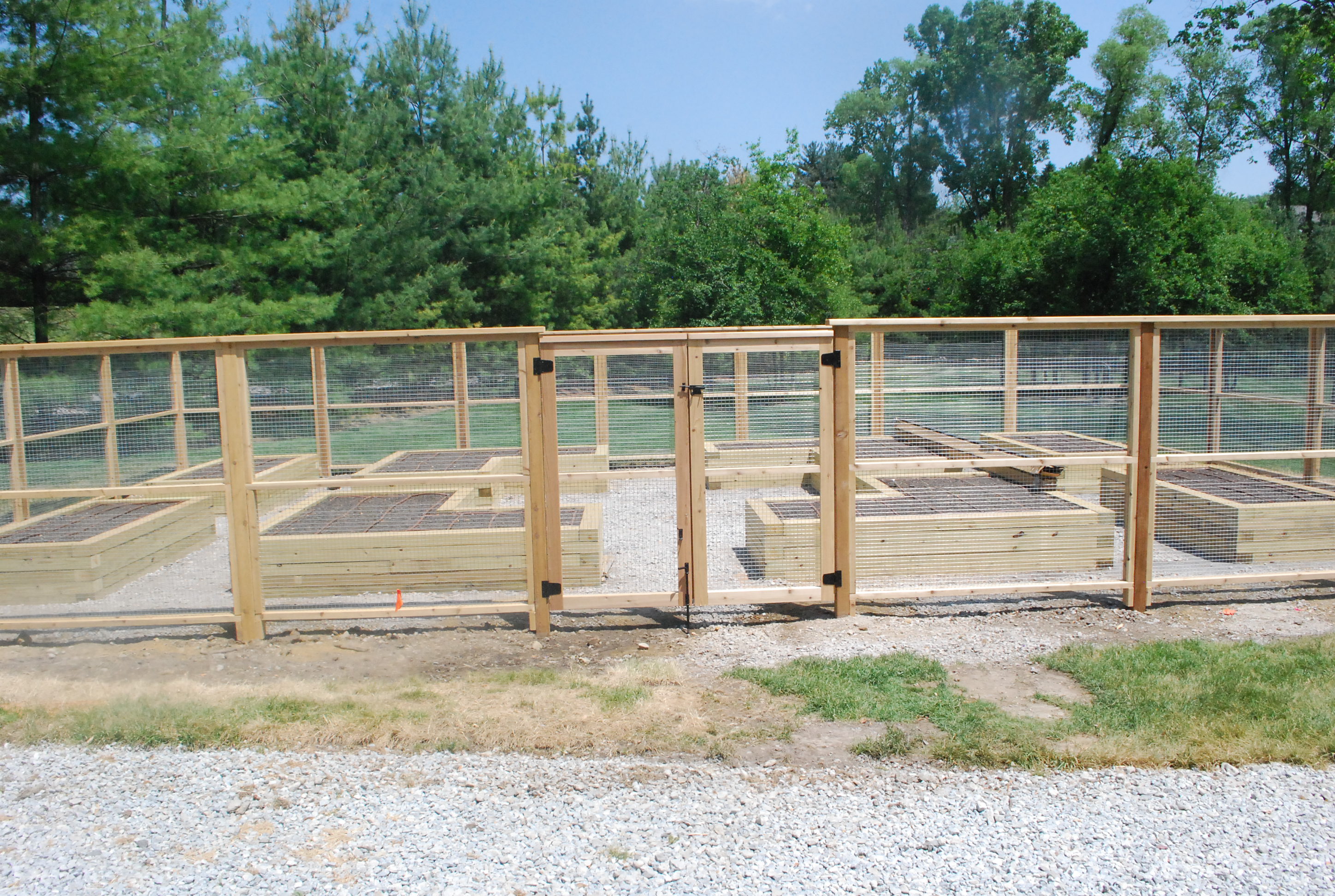 Pics Of Simple Raised Gardens With Deer Fence Vegetable Garden