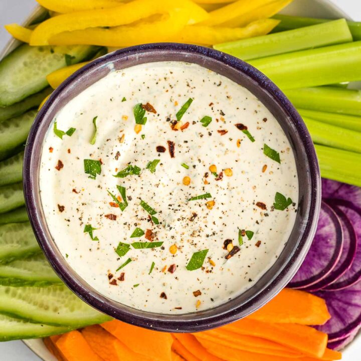Dry Ranch Dressing Mix Debra Klein