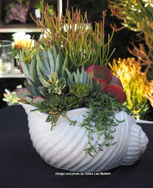 My SeaThemed Potting Demo at Roger's Gardens Debra Lee Baldwin