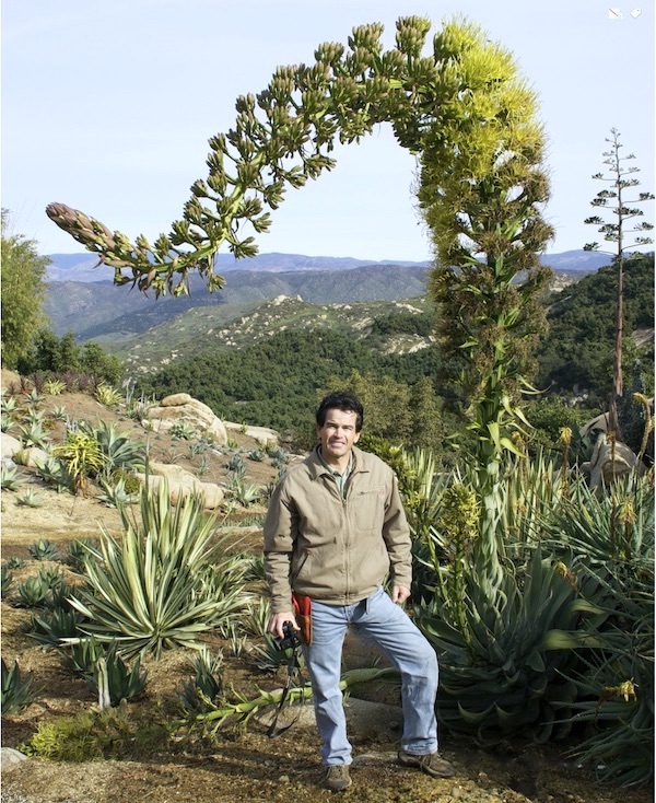 Your Agave's BloomingNow What? Debra Lee Baldwin