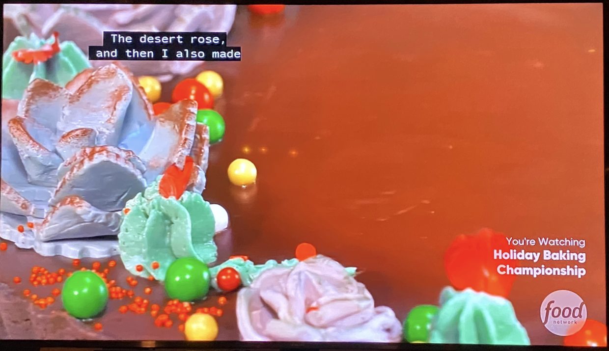 What's the "Desert Rose Succulent" on Holiday Baking Championship