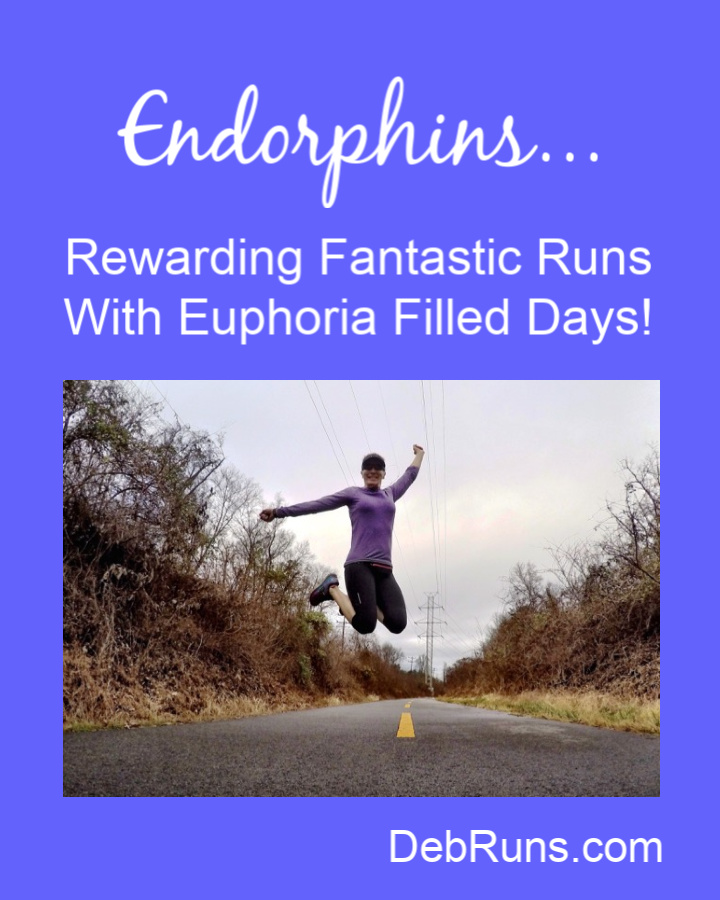 Endorphins Rewarding Fantastic Runs With Euphoria Filled Days Deb Runs