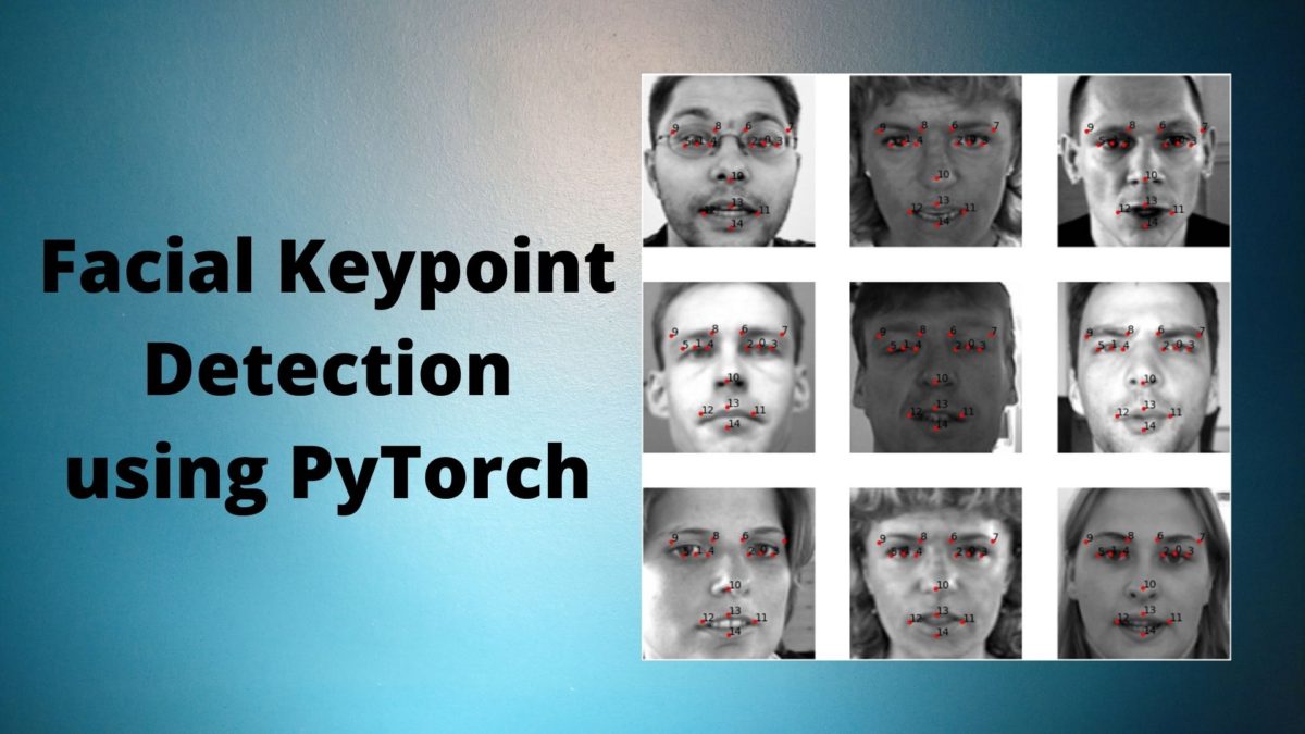 Getting Started with Facial Keypoint Detection using Deep Learning and