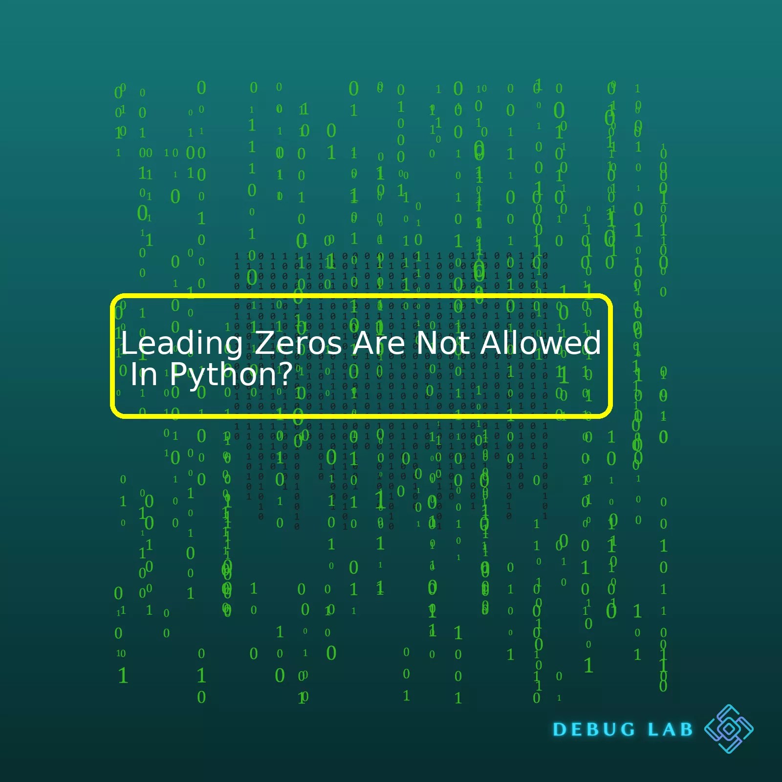 Leading Zeros Are Not Allowed In Python? Debug Lab