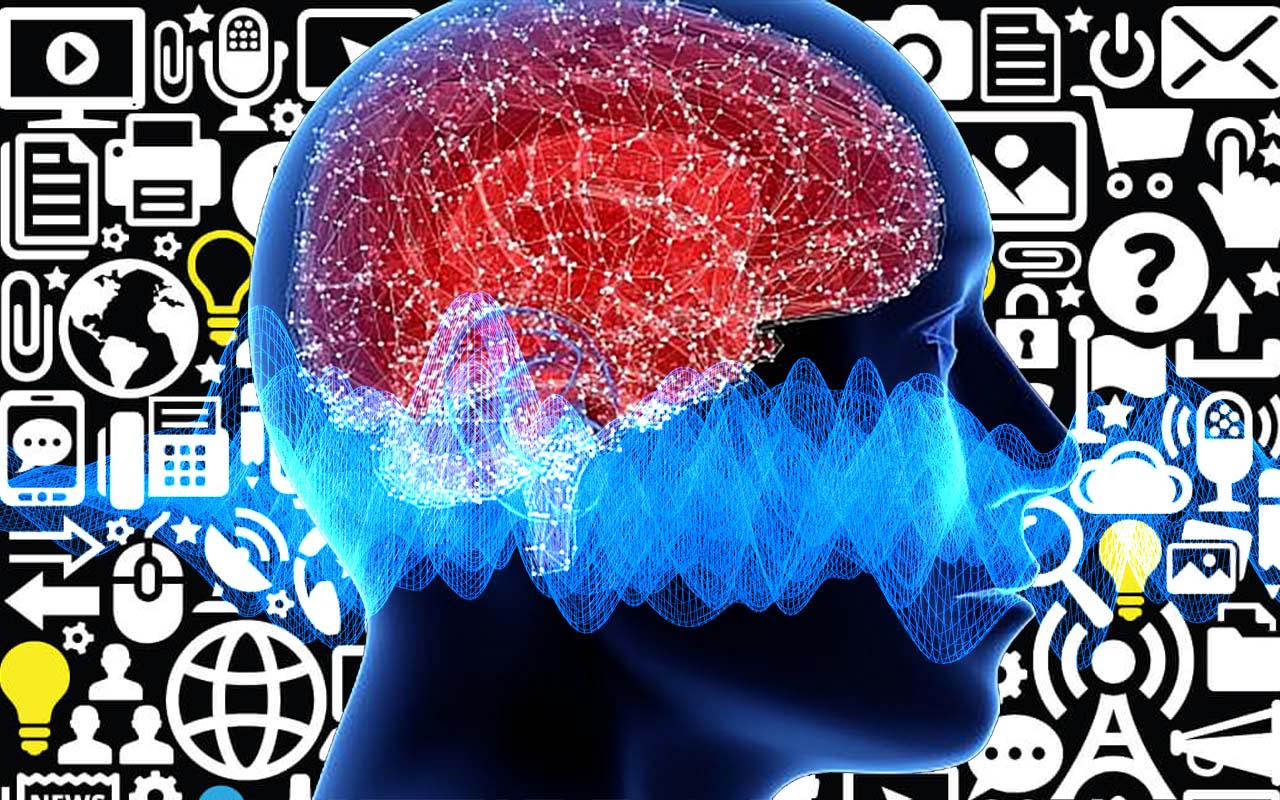 How does the brain exclude other voices during a conversation ? https