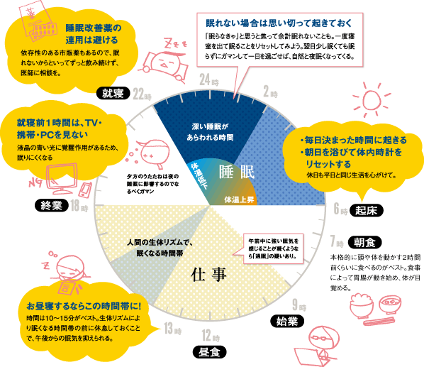 【からだのメカニズム】体内時計を味方につけて効率の... デブラボ