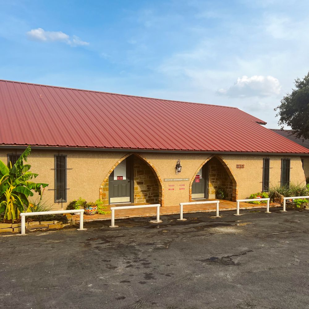 Best Veterinary Clinic In Decatur, Decatur, Texas 76234 Decatur Veterinary Clinic