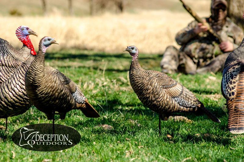 Deception Decoy CoDeception Turkey DecoysMiss PrissUSA