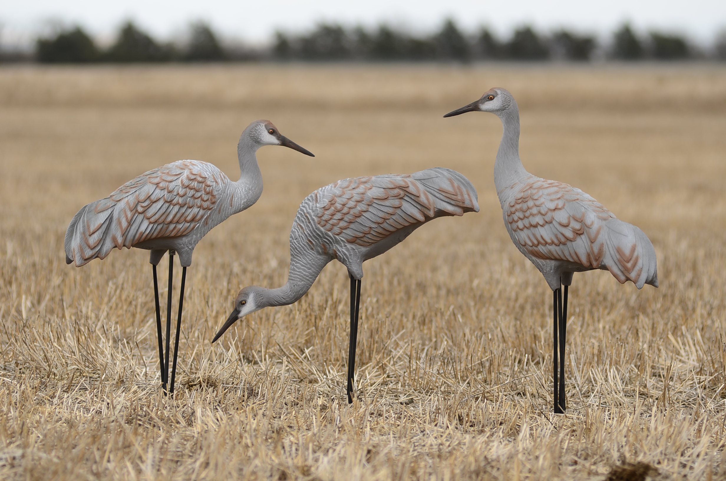 Western Series Sandhill Crane Decoys 6 pack Deception Decoy Co.