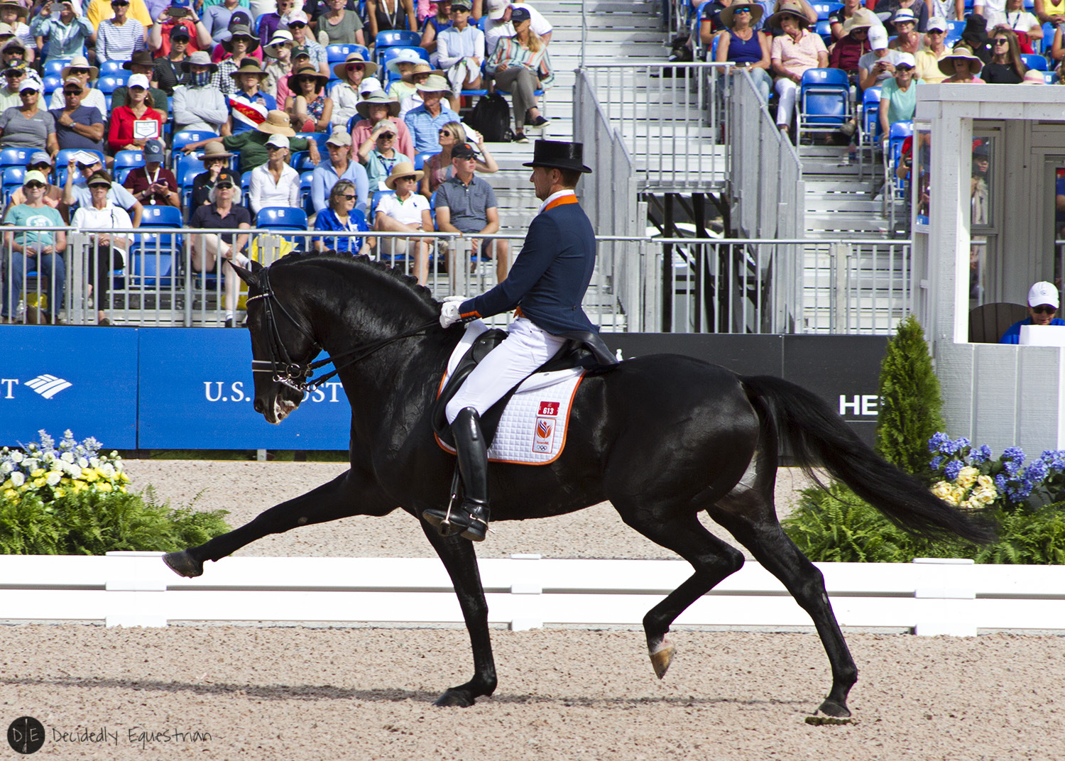 World Equestrian Games Tryon 2018 Dressage Decidedly Equestrian