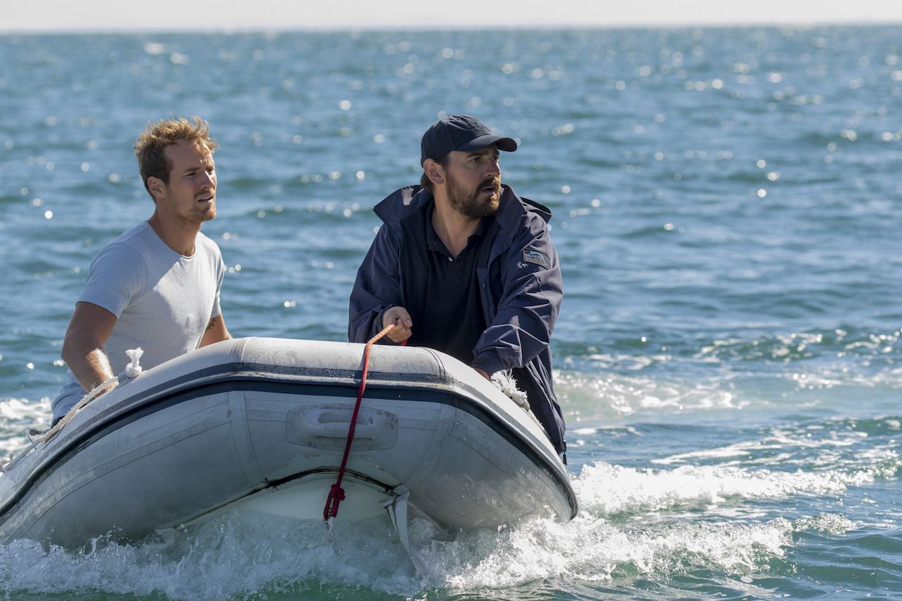 'Safe Harbour' on Hulu Review Stream It or Skip It?