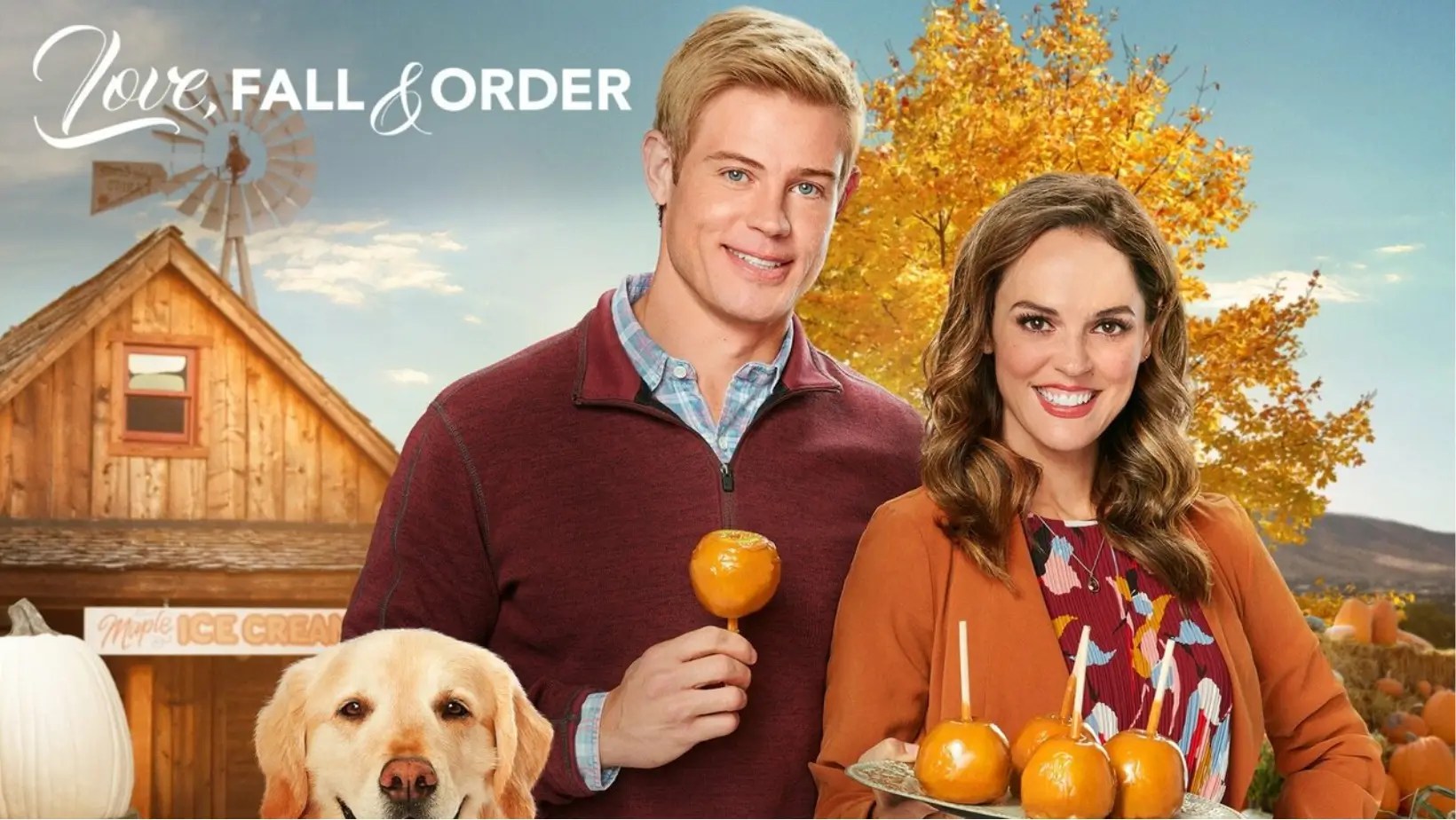 6 Best Fall Hallmark Movies in Order to Watch in 2024
