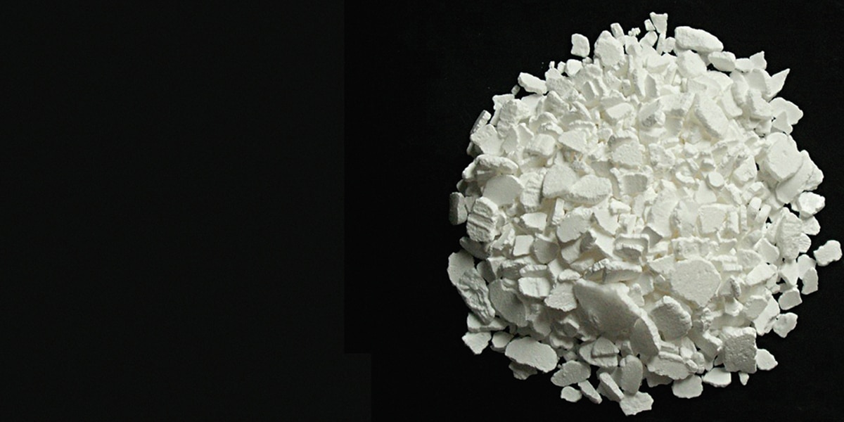 Examining Bioactive Restorative Materials