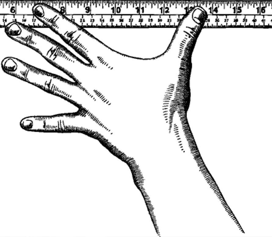 Law Students Lament A Slow Decline of Easily Memorised Rules of Thumb