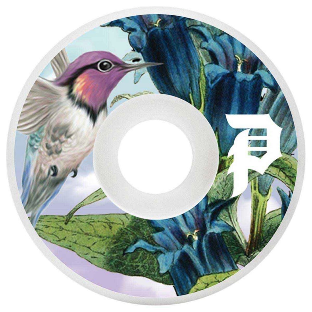 53mm Primitive Skateboarding Team Wheel, Hummingbird Deckadence