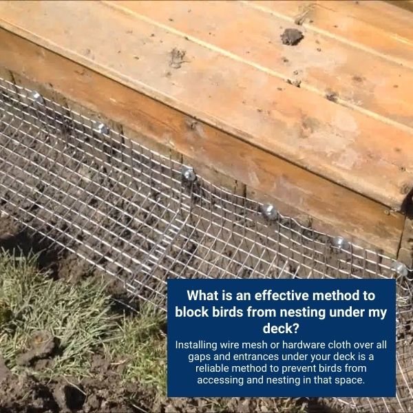 How Can I Keep Birds From Nesting Under My Deck?