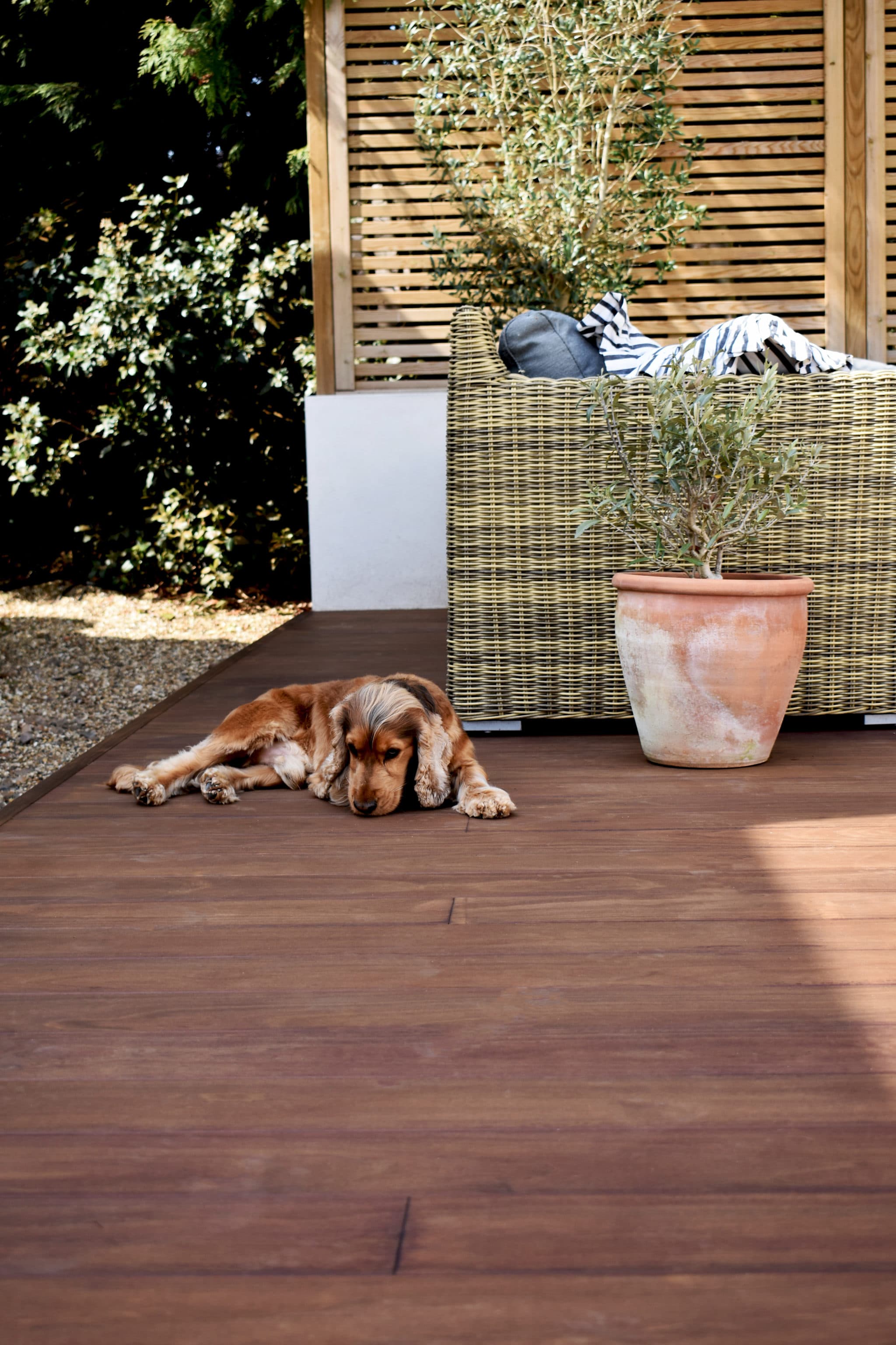 Kebony, choosing the most sustainable hardwood decking for UK projects Decking Network