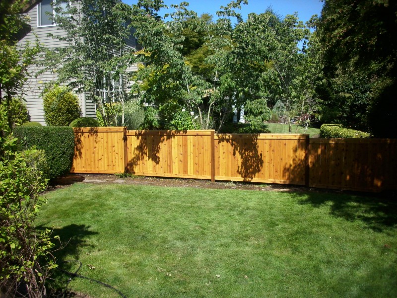 Stained cedar picture frame fence Deck Masters, LLC