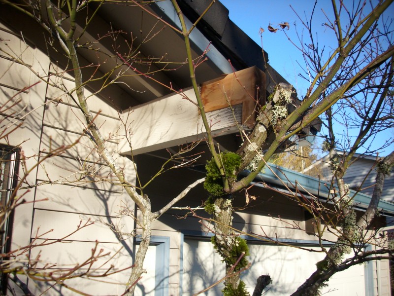 Roof beam repair Deck Masters, LLC