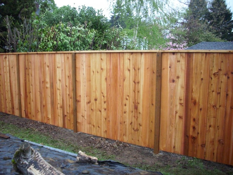 Cedar fence with top cap Deck Masters, LLC