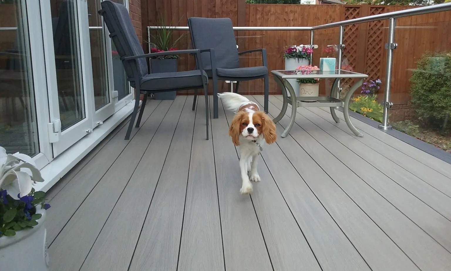 Is Composite Decking pet friendly? Deckorum