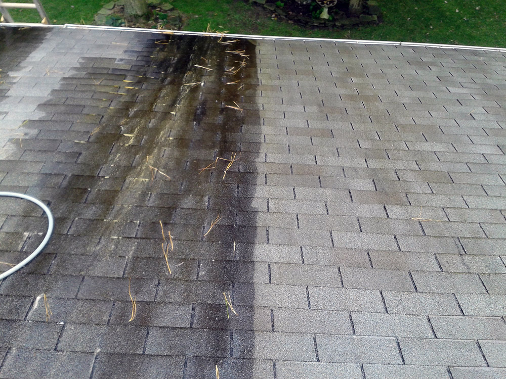 General Exterior Cleaning Services