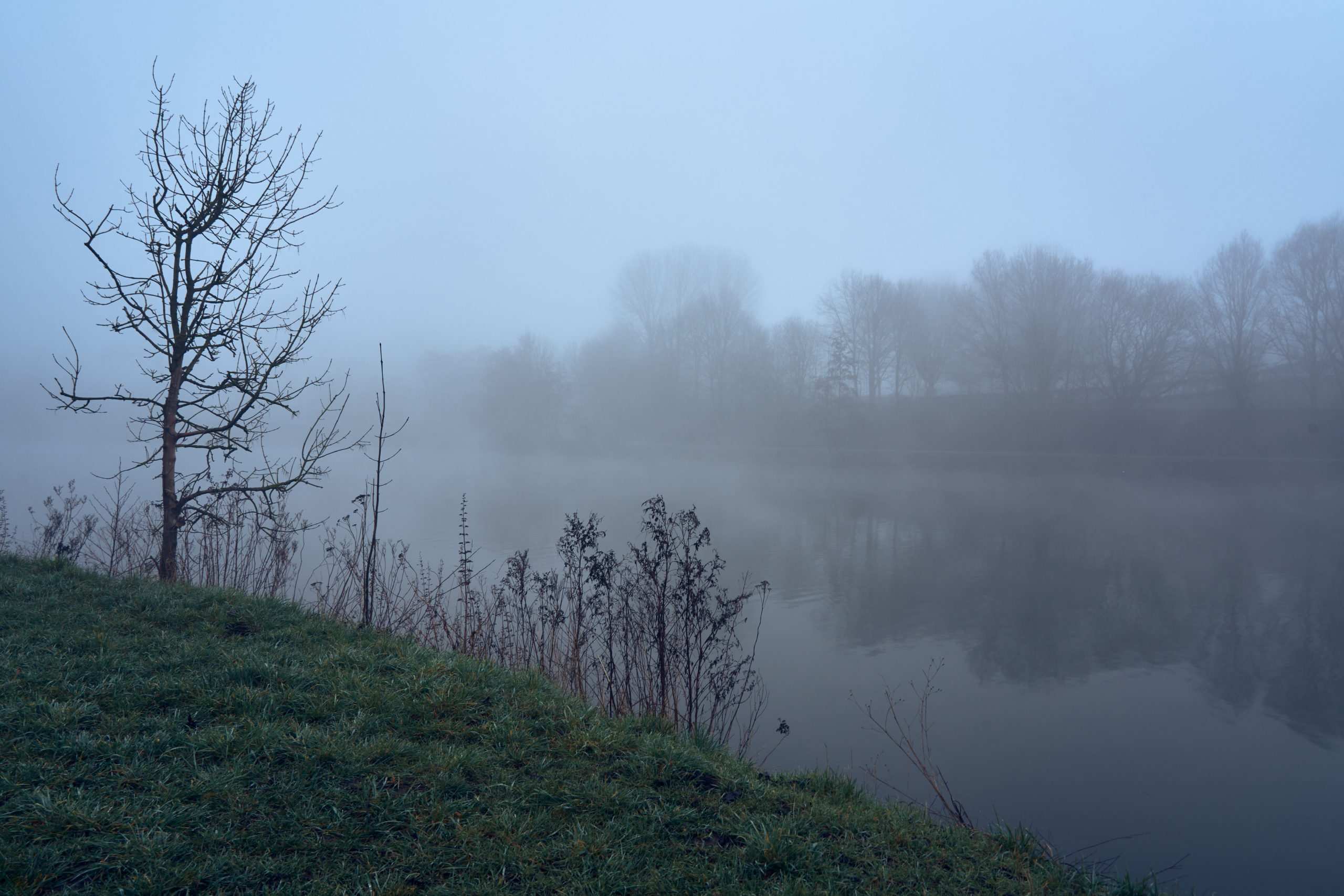 Photographier la brume matinale Déclic Numérique Photographie