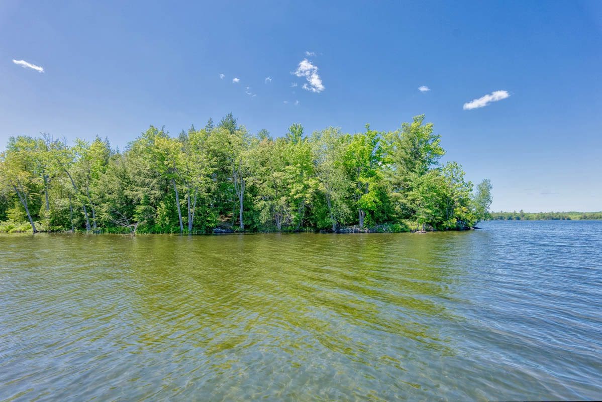 Sharbot Lake, 0 Echo Ridge, Sharbot Lake, ON DeClute Real Estate