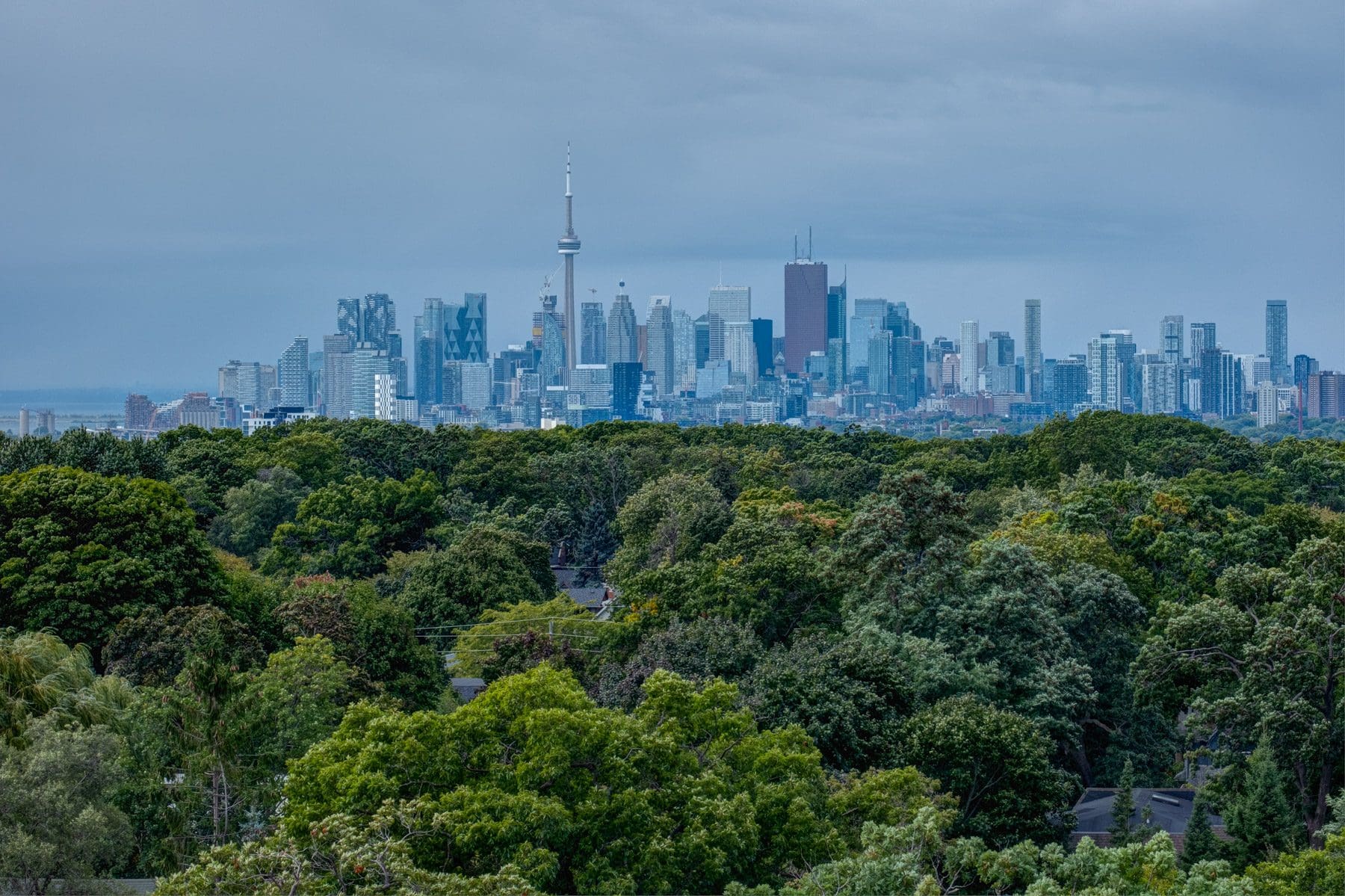 Toronto Vacant Home Tax DeClute Real Estate