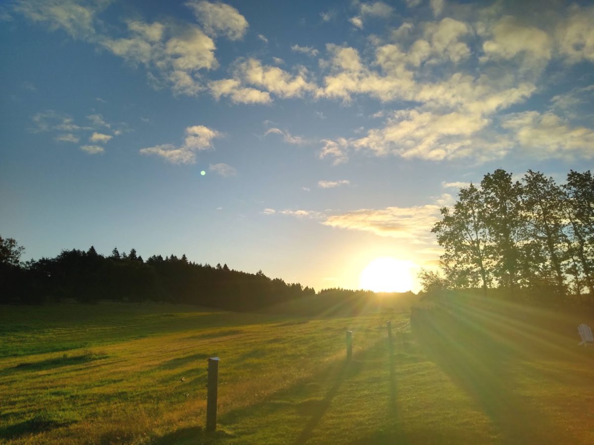 ワーホリ海外ゼロ円旅が可能？WWOOFとWorkaway違いとは でこぼっこブログ